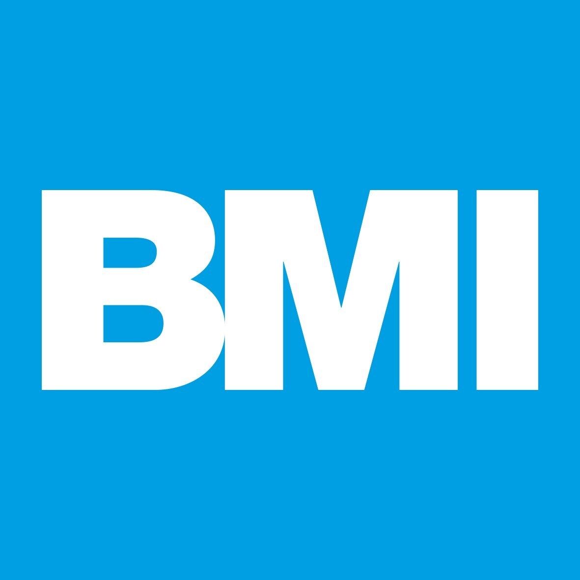 BMI Group